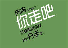 重生军婚闪婚
